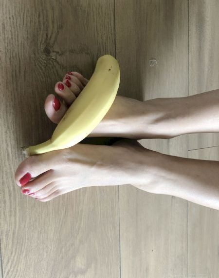 龙之家族 电视剧